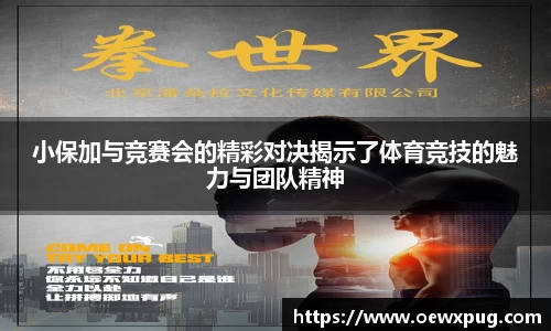 yy易游体育官网