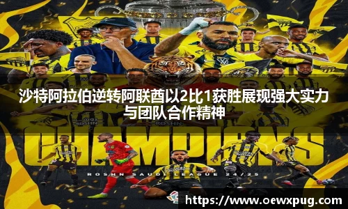 yy易游体育官网