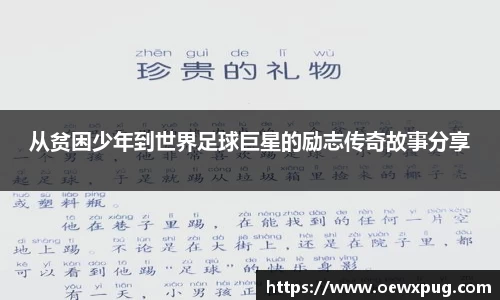 yy易游体育官网