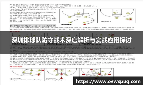 yy易游体育平台