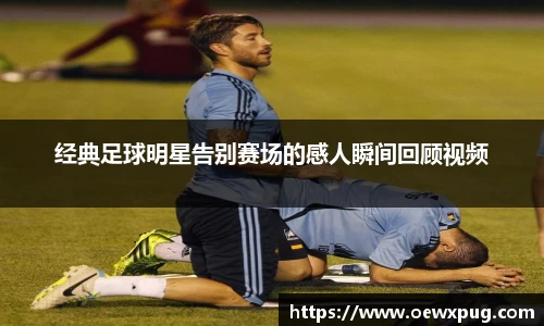 yy易游体育官网